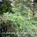 청도공인중개사사무소 이미지