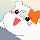 아젤리아 이미지
