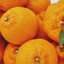 전자랜드울산삼산점 이미지