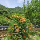 치유의숲야영장팬션 | [괴산 여행] 숲속 힐링의 끝판왕, 성불산자연휴양림 숙박·캠핑 완벽 후기!
