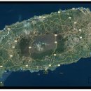 제주도성산공인중개사사무소 이미지