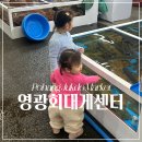 위도횟집 | 포항 죽도시장 맛집 대게 가족 아기랑 가기 좋은 횟집 영광회대게센타