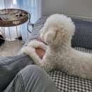 7월4주차 까머글뻔