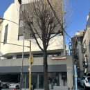 아차산 카페 굿띵커피 중곡동 애견동반 테라스