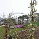 웅비농장 이미지