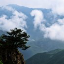 제210회 정기산행 전북 진안 구봉산 (1,002m) 산행 후 하계 야유회 (2015년 8월 1일) 이미지