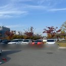 무봉체육시설 풋살구장 | 천안시민체육공원 풋살장 (천안무료구장, 시청체육공원, 무료축구장)