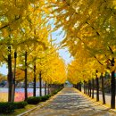 대가야고등학교 이미지