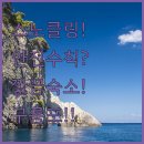 해궁모텔 | 여름휴가 구룡포 스노클링, 안전하게 즐기는 필수 수칙과 깔끔한 숙소 정보