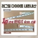 레그필 내돈내산 1주후기 :: 하체다이어트 찐효과