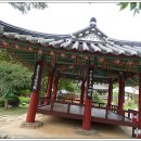 영광 침류정 이미지