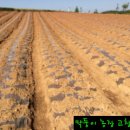 김종현 농장 이미지