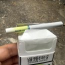 그린향 이미지