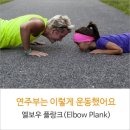 플랑크(plank)