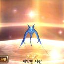 루비펫 이미지