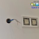 청원 NEST 이미지