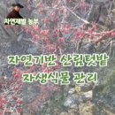 더드림팜 이미지