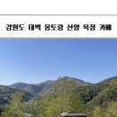 엄마손운동화 | 강원도 태백 몽토랑 산양목장 카페 당일치기 추천