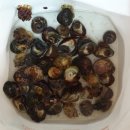 추암오토캠핑장 이미지