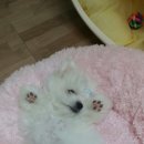 테크노웰 동물병원 이미지