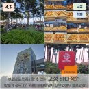 바다위에정원 | 강원 고성 전국 방문객 1위 카페 바다정원 후기(부모님도 좋아하심)