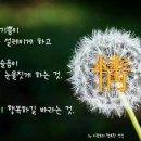 정(정이네)