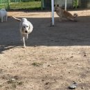 죽빵훈련소 이미지