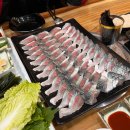 청파사 | 제주 고등어회 맛집 청파식당 후기