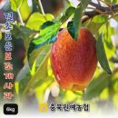 충북원예농협 이미지
