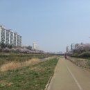 보성청실아파트 앞 이미지