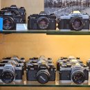 역동 403 | 결국 다시 리코, GR3인줄 알았으나 GR3X였던 사실