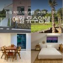 유수암쉘1-102 | 제주 애월 유수암쉘 프라이빗 독채 스테이 내돈내산 후기