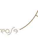 인크리즈 이미지