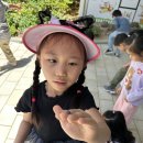 5월4주 -📍 어린이집 화단 공벌레와의 만남! 이미지
