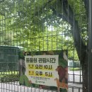 어린이대공원 | 어린이대공원 동물원 후기｜아이랑 주말 나들이, 무료라 부담 없이!