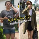 신나는 점핑 다이어트 - 성남시 분당구 | 신나는 점핑 다이어트