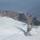 최북미술관 이미지