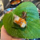 보성녹돈돼지찌게전문점 | 청주 송절동 신상 돼지고기 전문점 '녹돈집' 테크노폴리스점