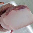 돼지마트
