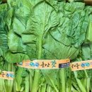 서진농장 이미지