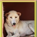 진도축산 이미지