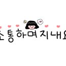 청춘당 꽈배기 이미지