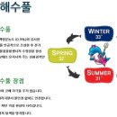 이노스베이프리미엄 어린이 레슨전문 수영장 이미지