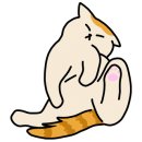 대전에이스 이미지