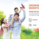 모두투어네트워크주 - 중구 중앙대로 63 | 모두투어네트워크주