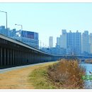 갈맷길 8-2 구간 이미지