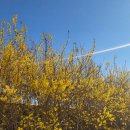 꿈꾸는 바느질 이미지