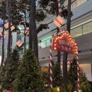 수원-0038 | 2025년 마지막 여행 후쿠오카 유후인 스고이