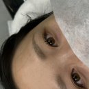 장원약품 | 👀 여름 준비/ 대전 뷰러펌 맛집 엘리시아 브로우
