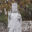 미르부동산공인중개사사무소 이미지
